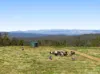 "Bellbird Ridge"/445 Ted Road, Geham QLD 4352-Image