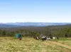 "Bellbird Ridge" Lot 445 Ted Road, Geham, Qld 4352-Image