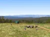"Bellbird Ridge" Lot 445 Ted Road, Geham, Qld 4352-Image