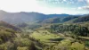"Bindallah Sth" Warlands Creek Road, Blandford, NSW 2338