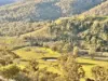"Bindallah Sth" Warlands Creek Road, Blandford, NSW 2338-Image