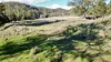 "Bindallah Sth" Warlands Creek Road, Blandford, NSW 2338-Image