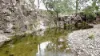 "Bindallah Sth" Warlands Creek Road, Blandford, NSW 2338-Image