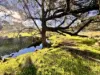 "Bindallah Sth" Warlands Creek Road, Blandford, NSW 2338-Image