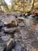 "Bindallah Sth" Warlands Creek Road, Blandford, NSW 2338-Image