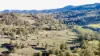 "Bindallah Sth" Warlands Creek Road, Blandford, NSW 2338-Image