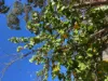 Boydell Road, Gibson, WA 6448-Image