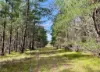 Boydell Road, Gibson, WA 6448-Image