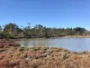 Boydell Road, Gibson, WA 6448-Image