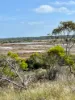 Boydell Road, Gibson, WA 6448-Image