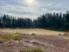 Boydell Road, Gibson, WA 6448-Image