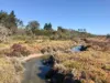 Boydell Road, Gibson, WA 6448-Image