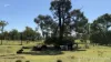 Braziers Road, Jandowae, Qld 4410-Image