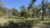 Braziers Road, Jandowae, Qld 4410-Image