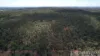 Braziers Road, Jandowae, Qld 4410-Image