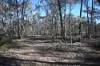 C/A 2 Wattlegum Road, Woodvale, Vic 3556-Image
