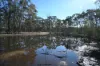 C/A 2 Wattlegum Road, Woodvale, Vic 3556-Image