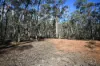 C/A 2 Wattlegum Road, Woodvale, Vic 3556-Image