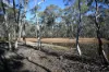 C/A 2 Wattlegum Road, Woodvale, Vic 3556-Image