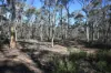 C/A 2 Wattlegum Road, Woodvale, Vic 3556-Image