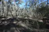 C/A 2 Wattlegum Road, Woodvale, Vic 3556-Image