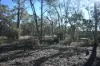 C/A 2 Wattlegum Road, Woodvale, Vic 3556-Image