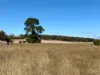 CA8A Beaufort-Lexton Road, Waterloo, Vic 3373