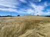CA8A Beaufort-Lexton Road, Waterloo, Vic 3373-Image