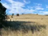 CA8A Beaufort-Lexton Road, Waterloo, Vic 3373-Image
