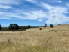 CA8A Beaufort-Lexton Road, Waterloo, Vic 3373-Image