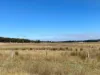CA8A Beaufort-Lexton Road, Waterloo, Vic 3373-Image