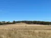 CA8A Beaufort-Lexton Road, Waterloo, Vic 3373-Image