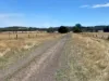 CA8A Beaufort-Lexton Road, Waterloo, Vic 3373-Image