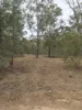 Cannon Street, St Lawrence, Qld 4707-Image