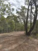 Cannon Street, St Lawrence, Qld 4707-Image