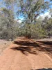 Cannon Street, St Lawrence, Qld 4707-Image