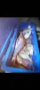 Cannon Street, St Lawrence, Qld 4707-Image