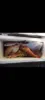 Cannon Street, St Lawrence, Qld 4707-Image