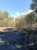 Cannon Street, St Lawrence, Qld 4707-Image