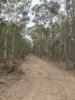 Cannon Street, St Lawrence, Qld 4707-Image