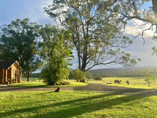 , Casino NSW 2470-Image