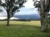 , Casino NSW 2470-Image