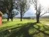 , Casino NSW 2470-Image