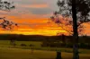 , Casino NSW 2470-Image