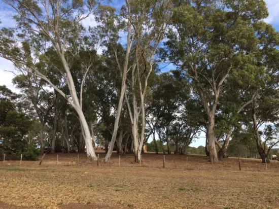 Casterton Apsley Road, Dergholm, Vic 3312