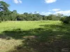 Cnr Silkwood-Japoon Rd & Wooloogin Rd, Japoonvale, Qld 4856
