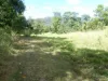 Cnr Silkwood-Japoon Rd & Wooloogin Rd, Japoonvale, Qld 4856-Image