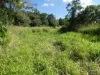 Cnr Silkwood-Japoon Rd & Wooloogin Rd, Japoonvale, Qld 4856-Image