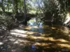 Cnr Silkwood-Japoon Rd & Wooloogin Rd, Japoonvale, Qld 4856-Image