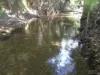 Cnr Silkwood-Japoon Rd & Wooloogin Rd, Japoonvale, Qld 4856-Image